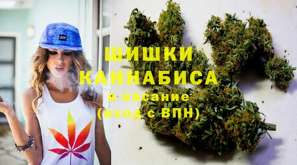 индика Баксан