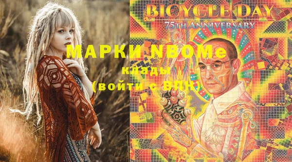 индика Баксан