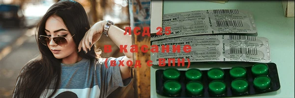 индика Баксан