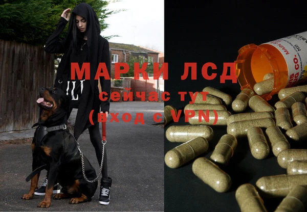 индика Баксан