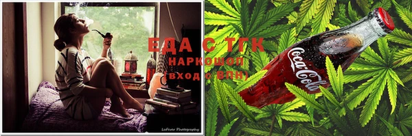 прущие грибы Вязьма
