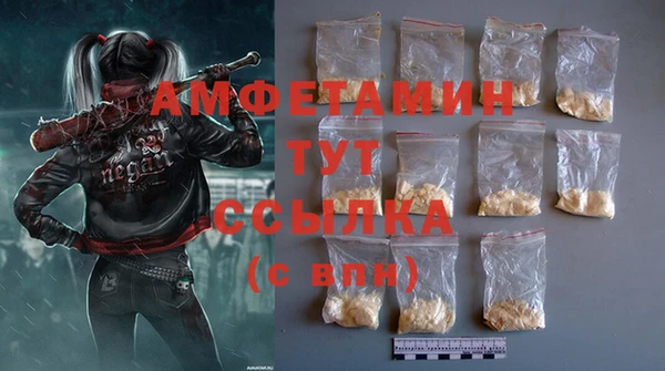 индика Баксан