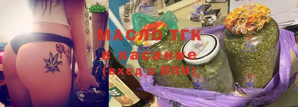 индика Баксан